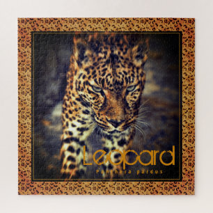 Leopard [Square Jigsaw puzzle]