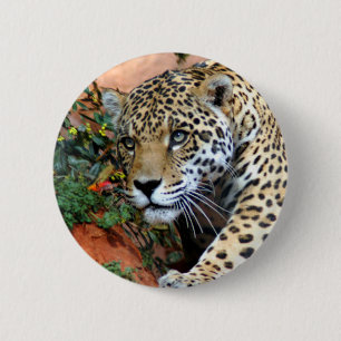 Leopard Stalking Macro Button