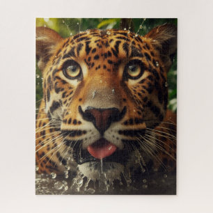 Leopard Stares beim Wasserlappen im Dschungel
