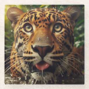 Leopard Stares beim Wasserlappen im Dschungel Glasuntersetzer