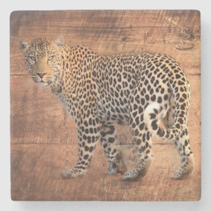 Leopard Steinuntersetzer