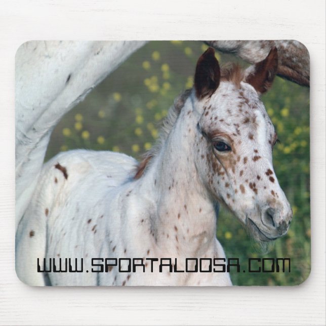 Leopard-Stutenfohlen Mousepad (Vorne)