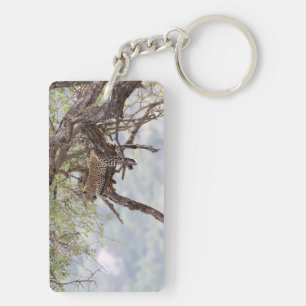 Leopard sur un arbre