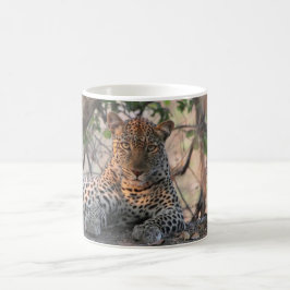 Leopard-Tasse Kaffeetasse