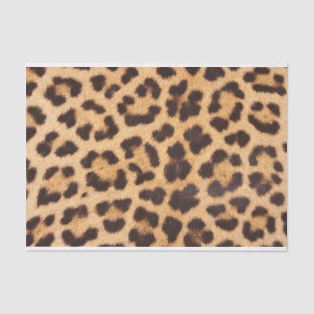 Leopard-Tierhaut-Druck Seidenpapier (Vorderseite)