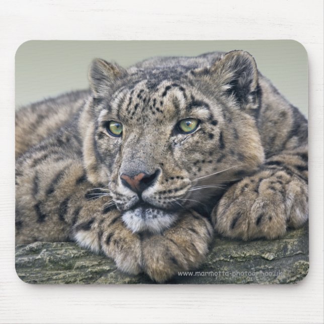 Leopard Traum Mauspad (Vorne)