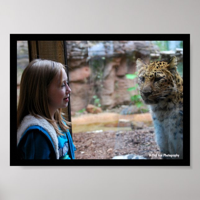 Leopard und Kinderporträt Poster (Vorne)