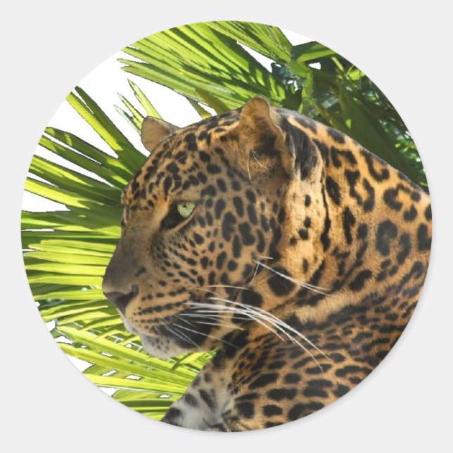 LEOPARD UND PALMS RUNDER AUFKLEBER (Vorderseite)