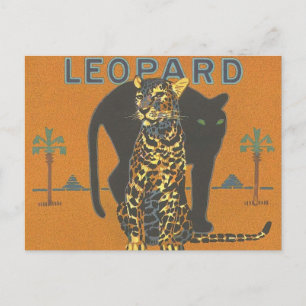Leopard und Panther Postkarte