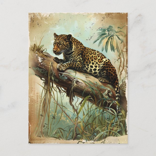Leopard Vintage  Postkarte (Vorderseite)