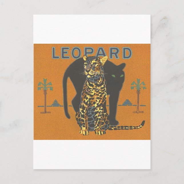 Leopard Vintage Postkarte (Vorderseite)