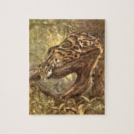 Leopard von CE Swan, Vintage Wildtiere