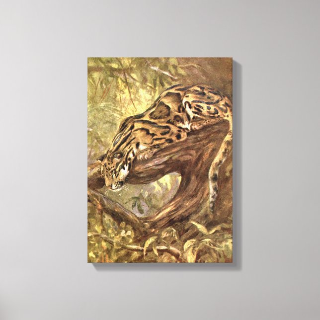 Leopard von CE Swan, Vintage Wildtiere Leinwanddruck (Vorderseite)