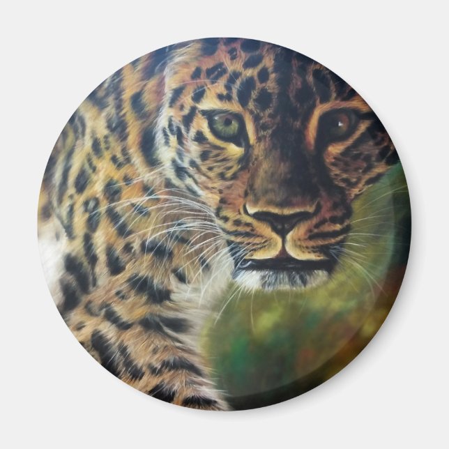 Leopard Walking bei Sunset Magnet (Vorne)