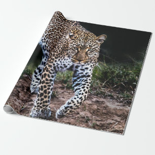 LEOPARD WALKING IN WILD GESCHENKPAPIER