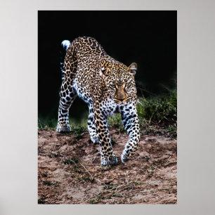 LEOPARD WALKING POSTER