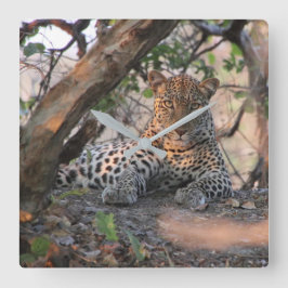 Leopard Wall Clock Quadratische Wanduhr