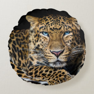 Leopard Zoo Illustration in der nördlichen China Rundes Kissen