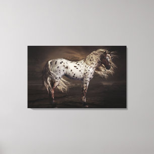 LeopardAppaloosa dehnte Leinwand-Druck aus Leinwanddruck