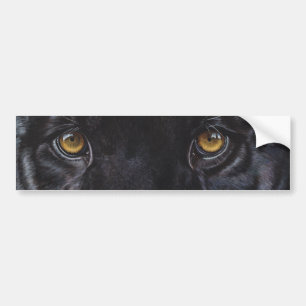 Leopardaugen des schwarzen Panthers Autoaufkleber
