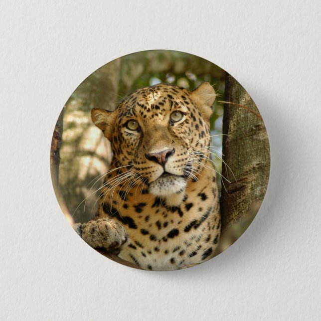 LeopardCheetaro013 Button (Vorderseite)