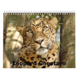 LeopardCheetaro013, Leopard Cheetaro Kalender
