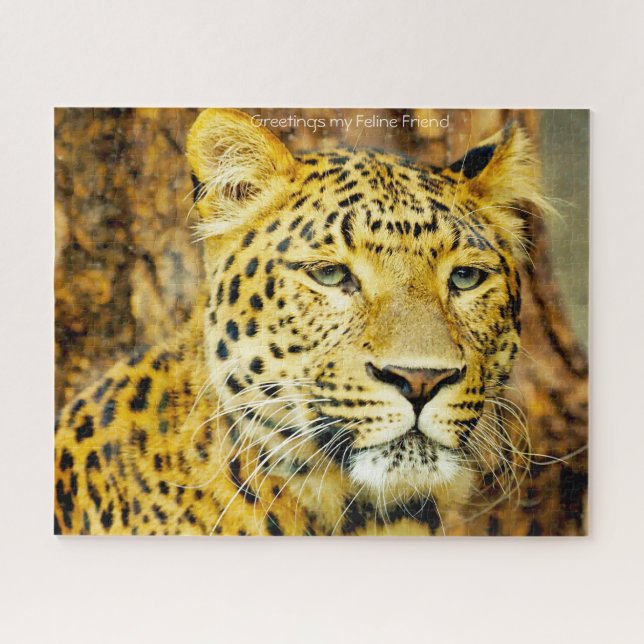Leoparden große Katzen. Jigsaw Puzzle (Horizontal)