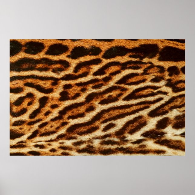 Leoparden Pelztexturen. Tierdruck Poster (Vorne)