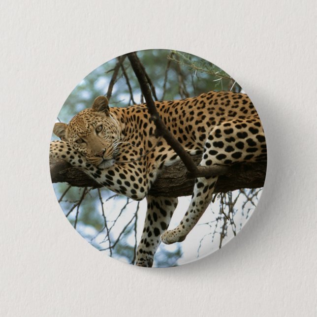 Leoparden-Ruhen im Baum Button (Vorderseite)