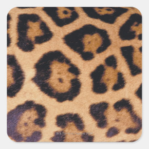 Leopardenhaut Quadratischer Aufkleber