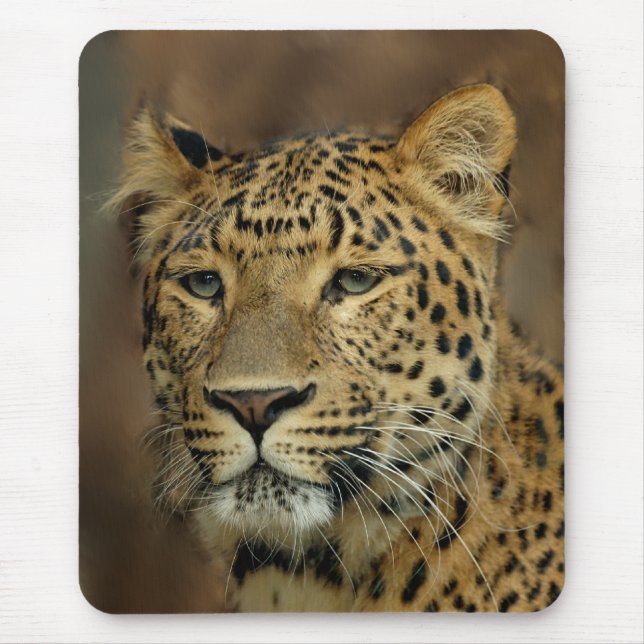 Leopardenliebhaber Kunst Mousepad (Vorne)