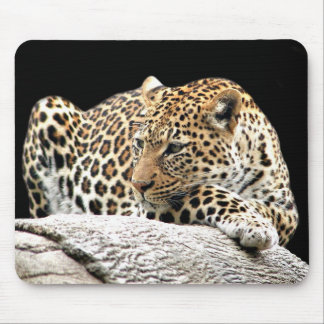 Leopardenmousepad Mousepad