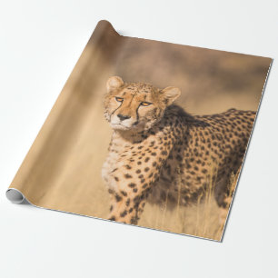 LEOPARDENPORTRAIT GESCHENKPAPIER