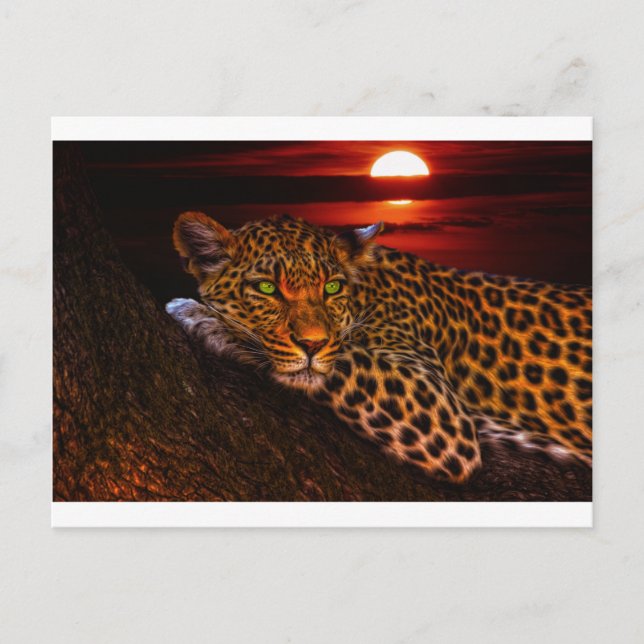 Leopardenpostkarte Postkarte (Vorderseite)