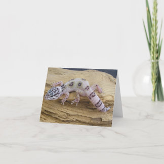 Leopardgecko-Anmerkungs-Karte Karte