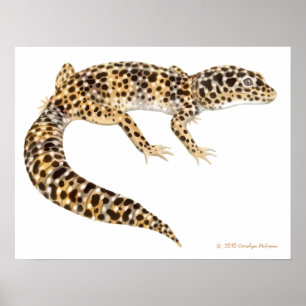 Leopardgecko-Kunst-Druck Poster