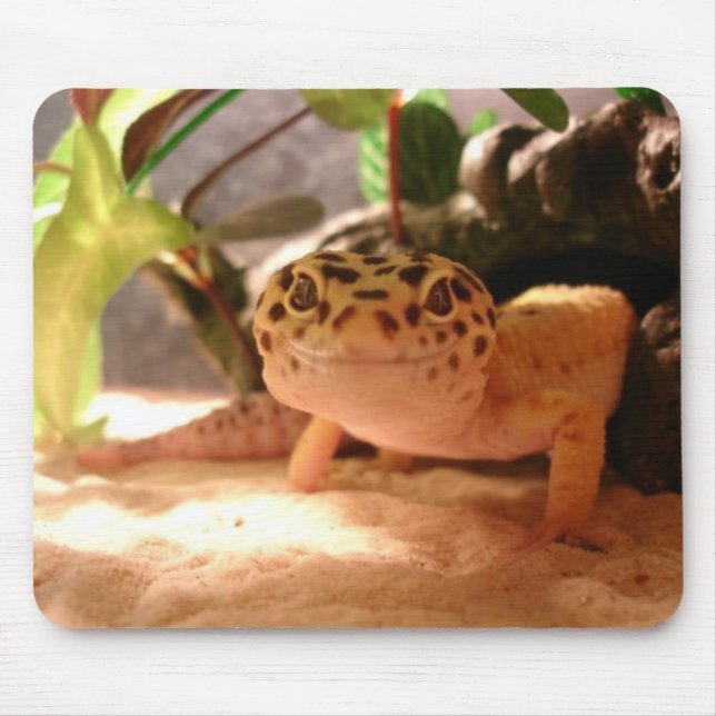 LeopardGecko Mousepad (Vorne)