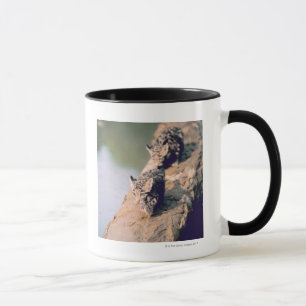 Leopardjunge auf Klotz Tasse