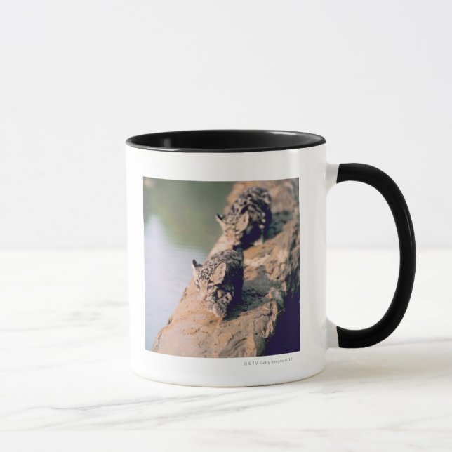 Leopardjunge auf Klotz Tasse (Rechts)