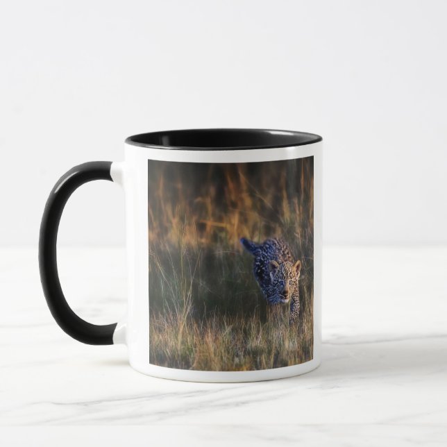 Leopardjunge Panthera Pardus Tasse (Links)