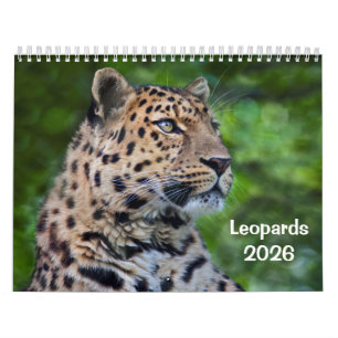Leopards-Kalender Kalender