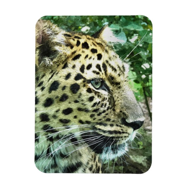 LEOPARDS MAGNET (Vertikal)