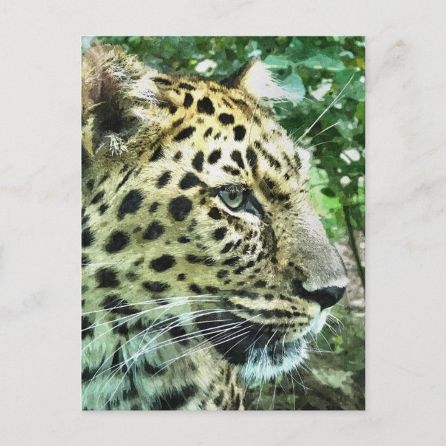 LEOPARDS POSTKARTE (Vorderseite)