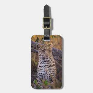 Leopardsitzen, Botswana, Afrika Gepäckanhänger
