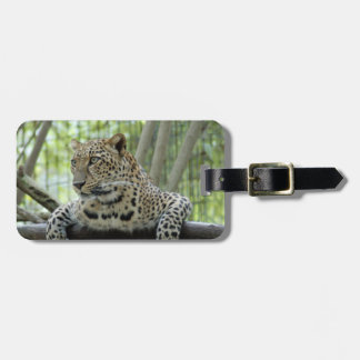 LeopardSundari_007 Gepäckanhänger