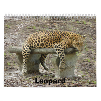 LeopardSundari_010, Leopard Kalender
