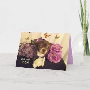 Lernen Sie bald die Karte