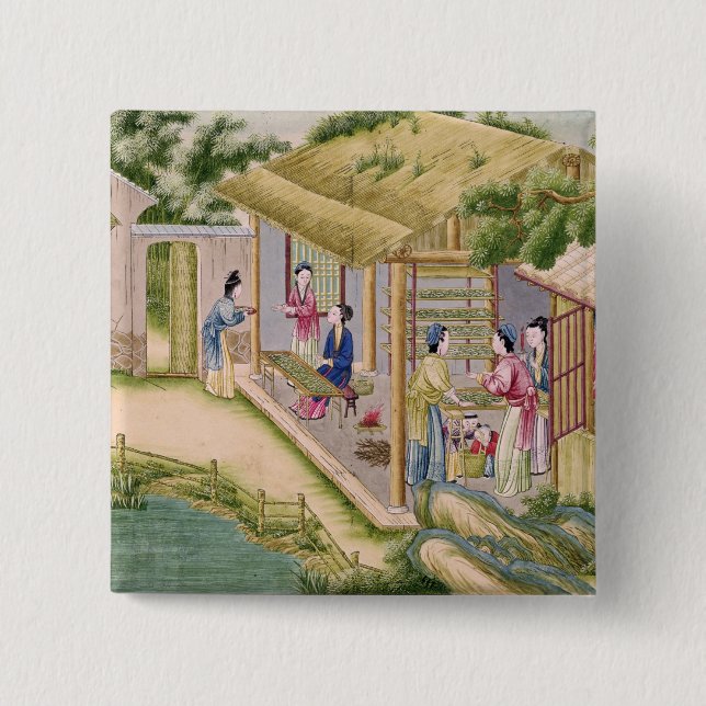 Lernen über Seidenraupen Button (Vorderseite)