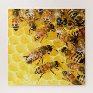 Les abeilles sur Honeycomb - Puzzle