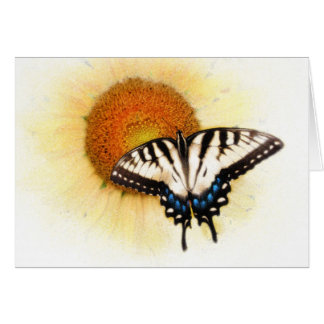 Les ailes d'un papillon